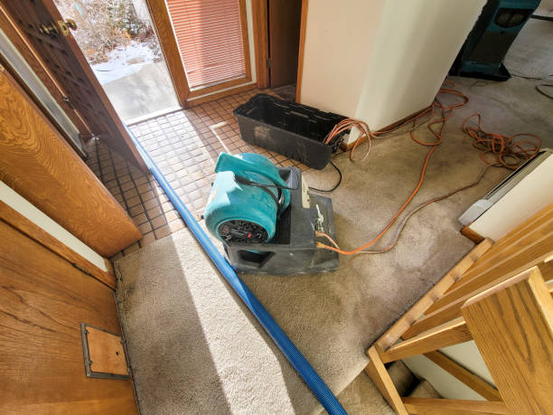 Best Odor Removal and Sanitization After Water Damage in Stanley, NC