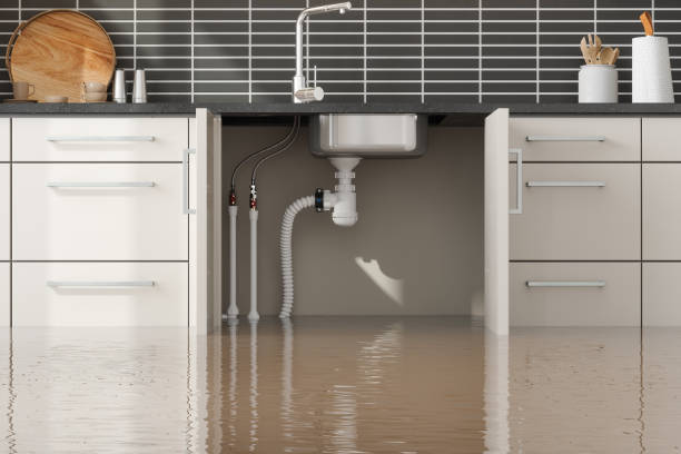 Best Plumbing Leak and Burst Pipe Cleanup in Stanley, NC